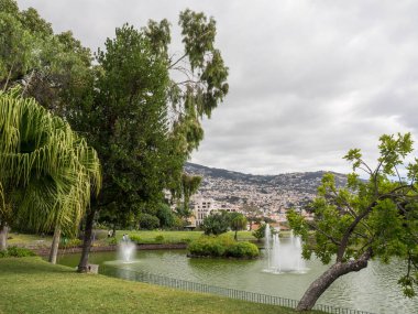 Portekiz madeira Adası