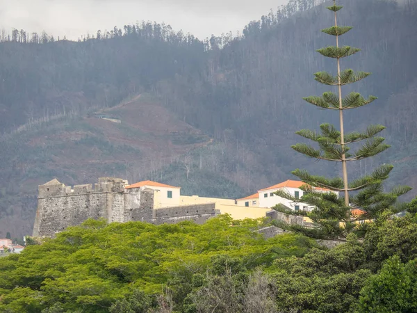 Isla Madeira Portugal — Foto de Stock