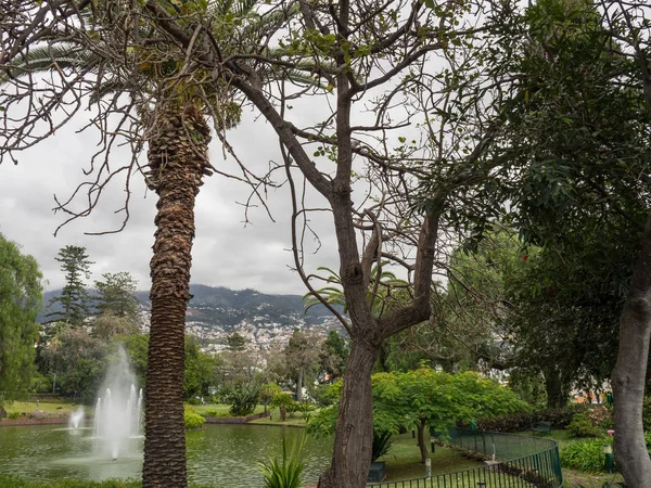 Madeira Portugal — Stockfoto