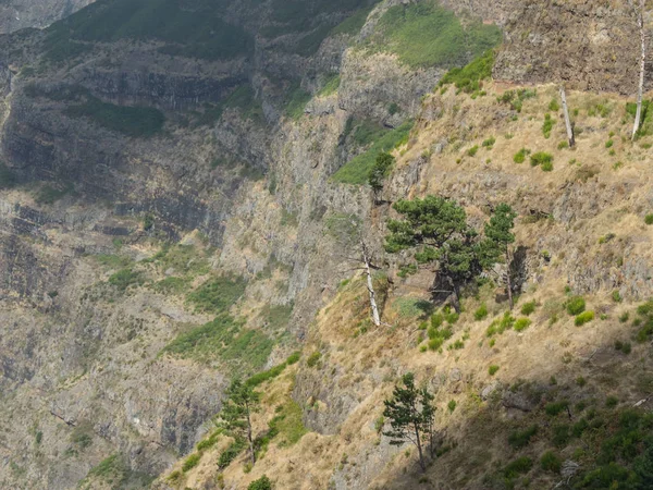 Portekiz madeira Adası