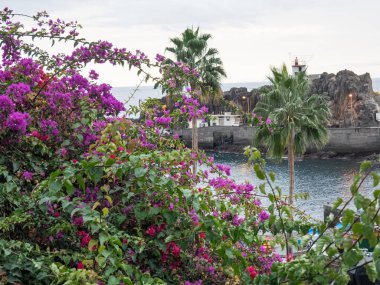 Portekiz madeira Adası