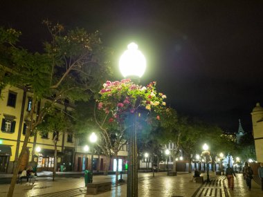 Portekiz madeira Adası