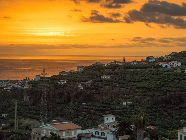 Île Madère Portugais — Photo