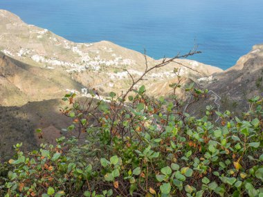 Ada tenerife İspanya