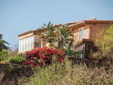 Ada tenerife İspanya