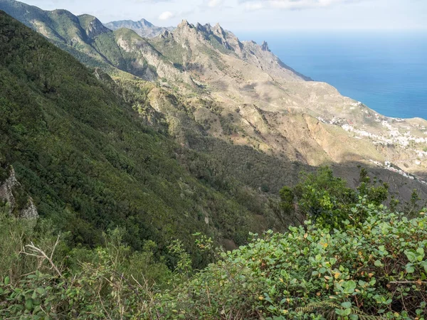 Het Eiland Tenerife Spanje — Stockfoto