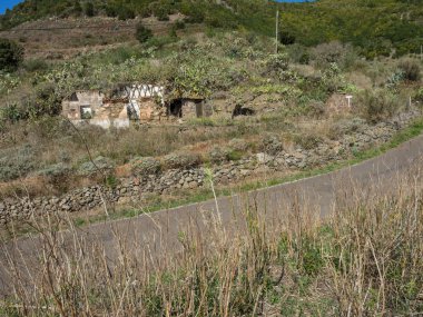 İspanya Kanarya Adaları