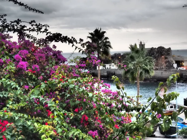 Croisière Aux Îles Canaries — Photo