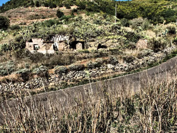 Kanarya Adaları cruise