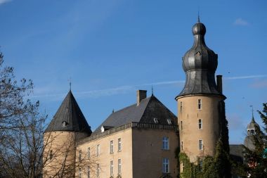 Alman muensterland kalede