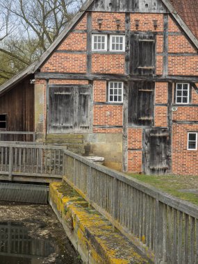 Alman muensterland ilkbaharda