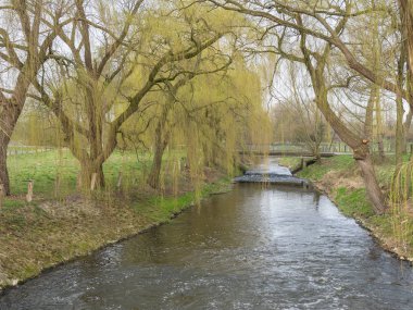 Alman muensterland ilkbaharda