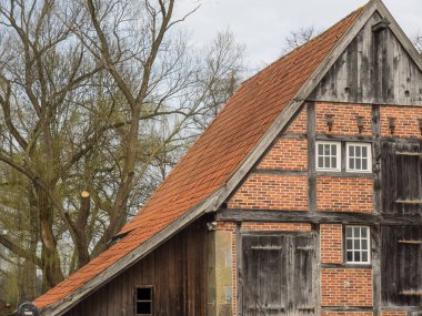 Alman muensterland ilkbaharda