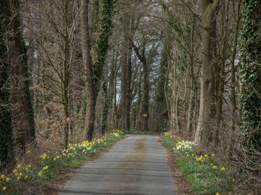 Alman muensterland ilkbaharda
