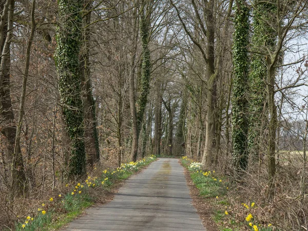 Primavera Nel Muensterland Tedesco — Foto Stock