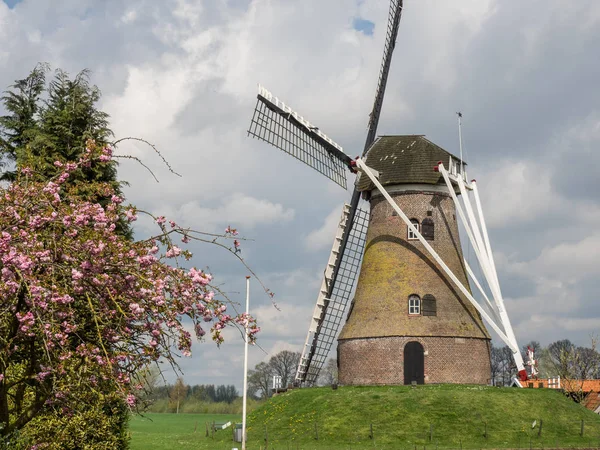 Frühlingszeit Den Niederlanden — Stockfoto