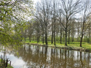 Hollanda 'da bahar mevsimi