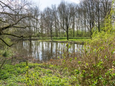 Hollanda 'da bahar mevsimi
