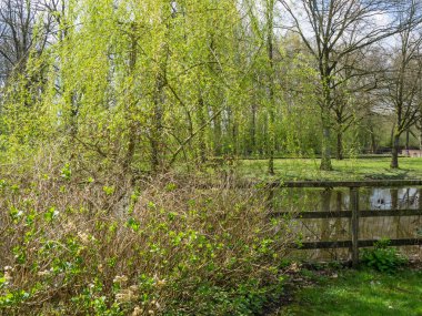 Hollanda 'da bahar mevsimi