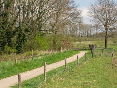 Hollanda 'da bahar mevsimi