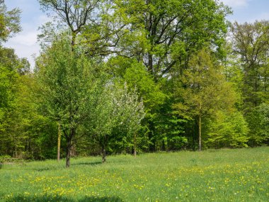 Almanya küçük kilise