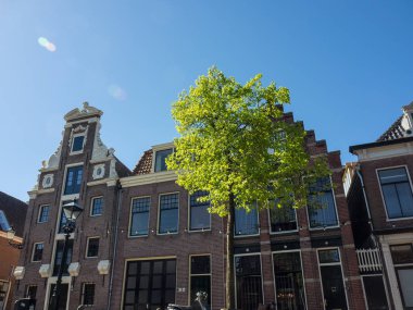 Hollanda 'daki Alkmaar şehri.