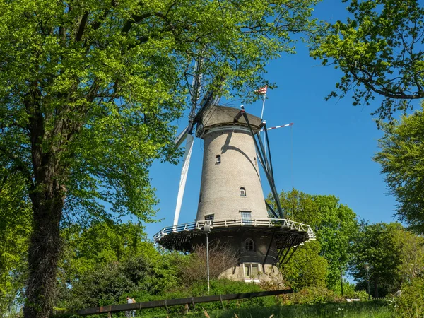 City Alkmaar Netherlands — Stock Photo, Image