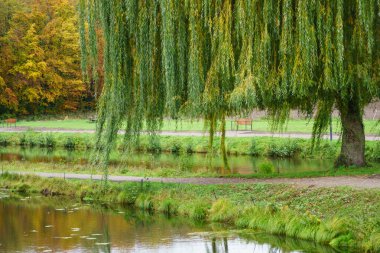 Almanya 'da bir şatoda sonbahar