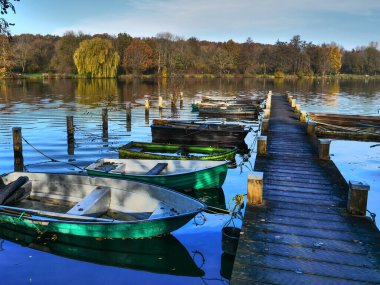 Alman muensterland 'inde bir nehirde sonbahar