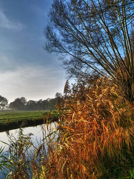 Alman Muensterland Inde Bir Nehirde Sonbahar — Stok fotoğraf