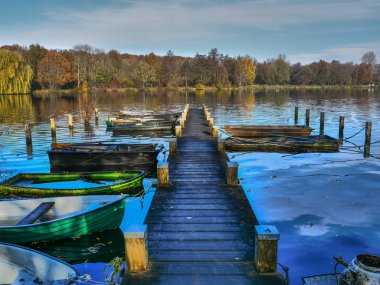 Alman muensterland 'inde bir nehirde sonbahar