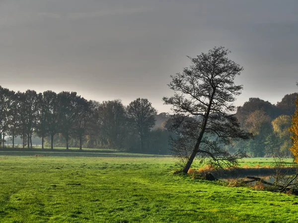 Herbst Einem Fluss Münsterland — Stockfoto