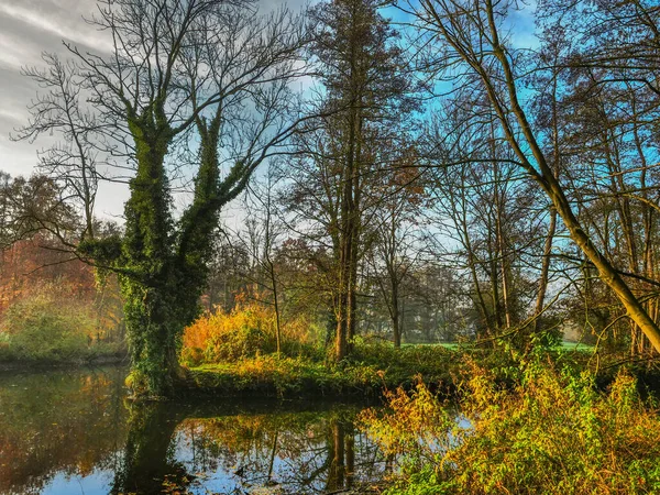 Herbst Einem Fluss Münsterland — Stockfoto