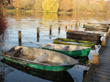 Alman muensterland 'inde bir nehirde sonbahar