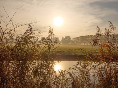 Alman muensterland 'inde bir nehirde sonbahar