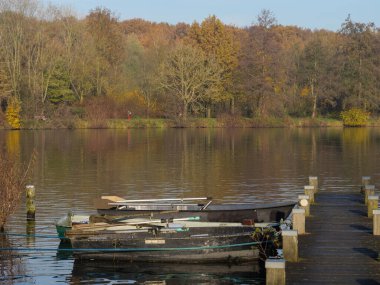 Alman muensterland 'inde bir nehirde sonbahar