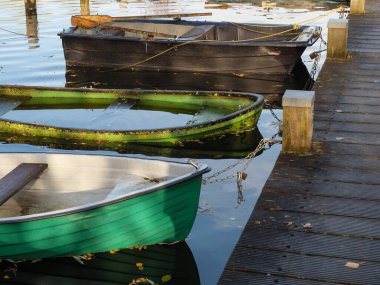 Alman muensterland 'inde bir nehirde sonbahar