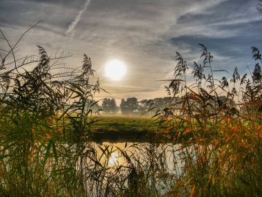 Alman muensterland 'inde bir nehirde sonbahar