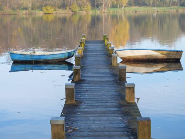Alman muensterland 'inde bir nehirde sonbahar