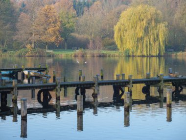 Alman muensterland 'inde bir nehirde sonbahar