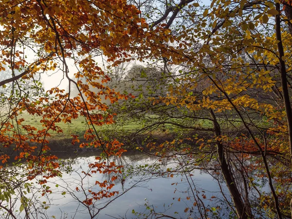 Automne Bord Une Rivière Dans Pays Des Muentins Allemand — Photo