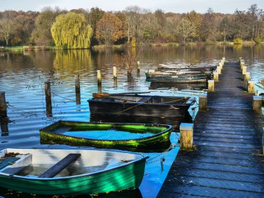 Alman muensterland 'inde bir nehirde sonbahar