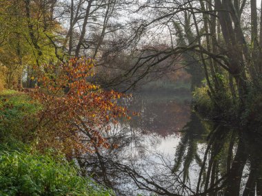 Alman muensterland 'inde bir nehirde sonbahar