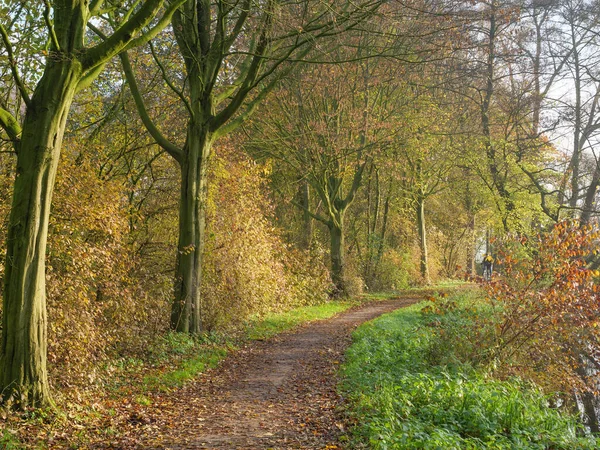 Jesień Nad Rzeką Niemieckim Muensterland — Zdjęcie stockowe