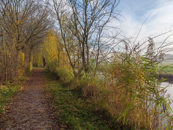 Jesień Nad Rzeką Niemieckim Muensterland — Zdjęcie stockowe