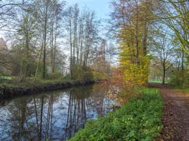 Alman muensterland 'inde bir nehirde sonbahar