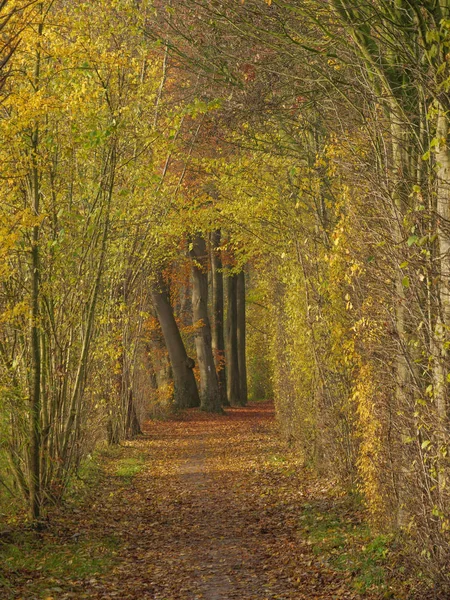 Autumn Time German River — Stock Photo, Image