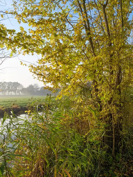 Jesień Nad Niemiecką Rzeką — Zdjęcie stockowe