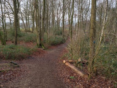 Almanya 'da köye yakın bir yürüyüş.