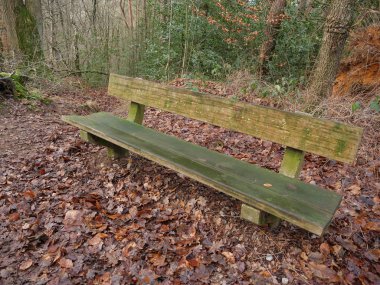 Almanya 'da köye yakın bir yürüyüş.